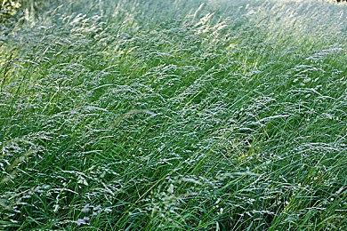 《直到黎明》PC＆PS5版采用虚幻5引擎开发 加入新的第三人称